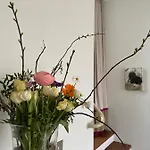 V - Zwischen Kultur Und 3*
