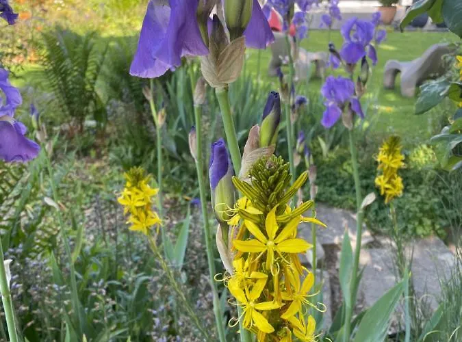 V - Zwischen Kultur Und Viersen